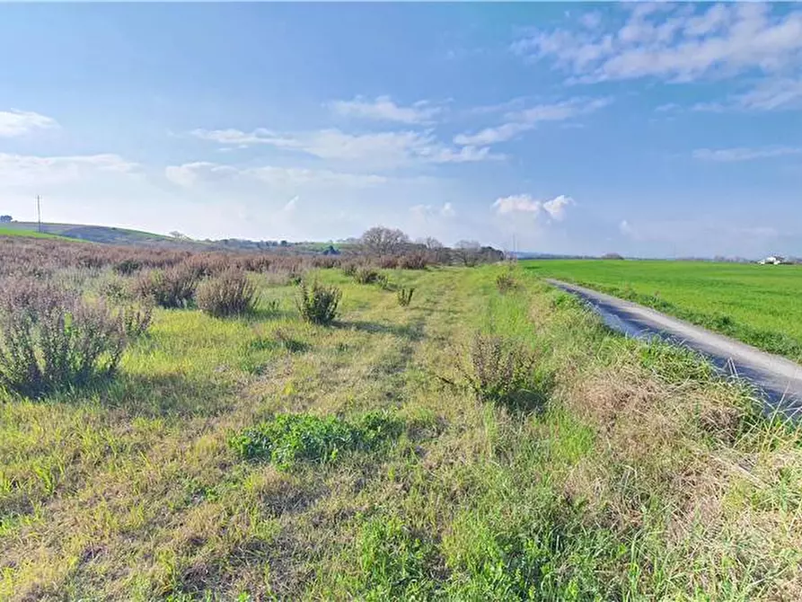 Immagine 26 di Terreno in vendita  in Via monti di Monterubbiano a Lapedona
