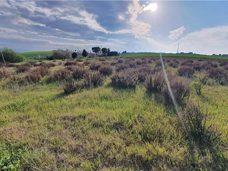 Immagine 28 di Terreno in vendita  in Via monti di Monterubbiano a Lapedona