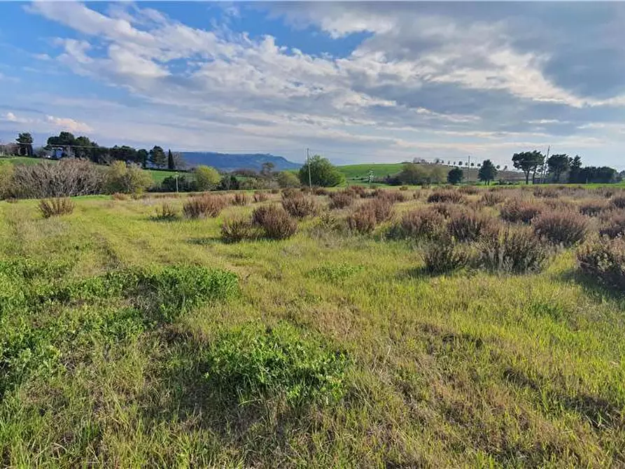 Immagine 29 di Terreno in vendita  in Via monti di Monterubbiano a Lapedona