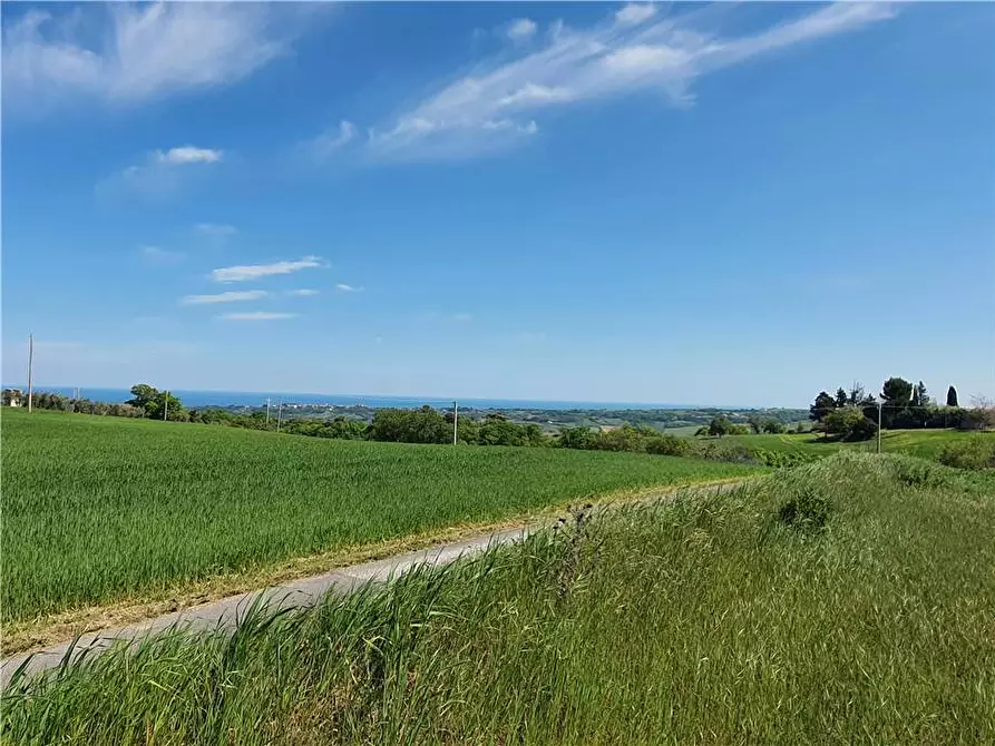 Immagine 3 di Terreno in vendita  in Via monti di Monterubbiano a Lapedona