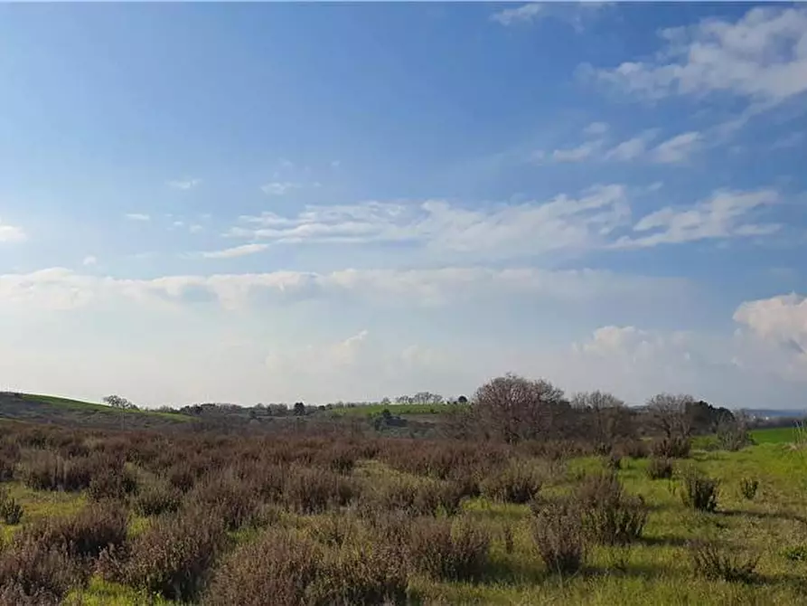 Immagine 31 di Terreno in vendita  in Via monti di Monterubbiano a Lapedona