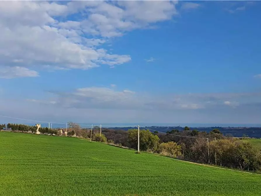 Immagine 4 di Terreno in vendita  in Via monti di Monterubbiano a Lapedona