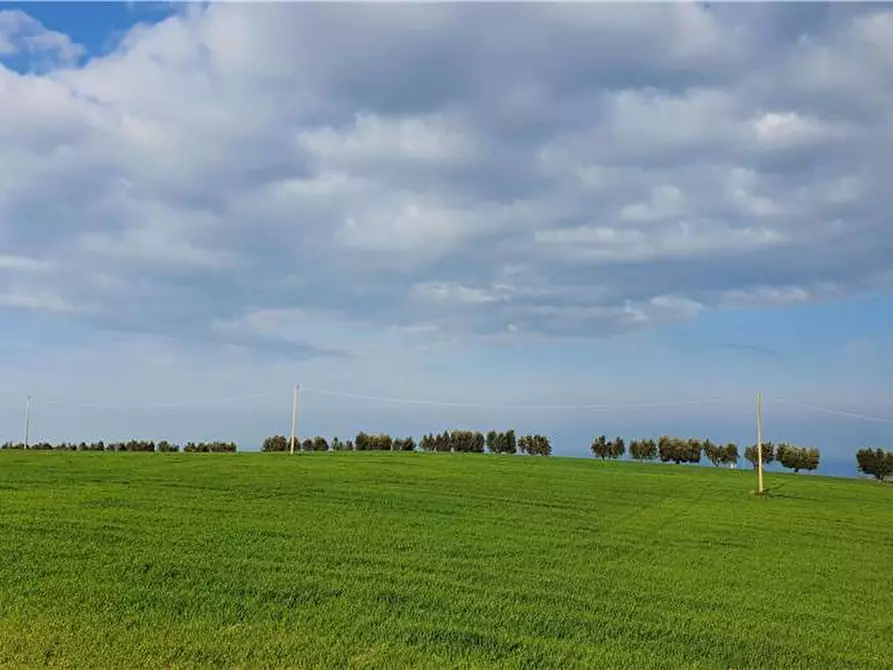 Immagine 7 di Terreno in vendita  in Via monti di Monterubbiano a Lapedona