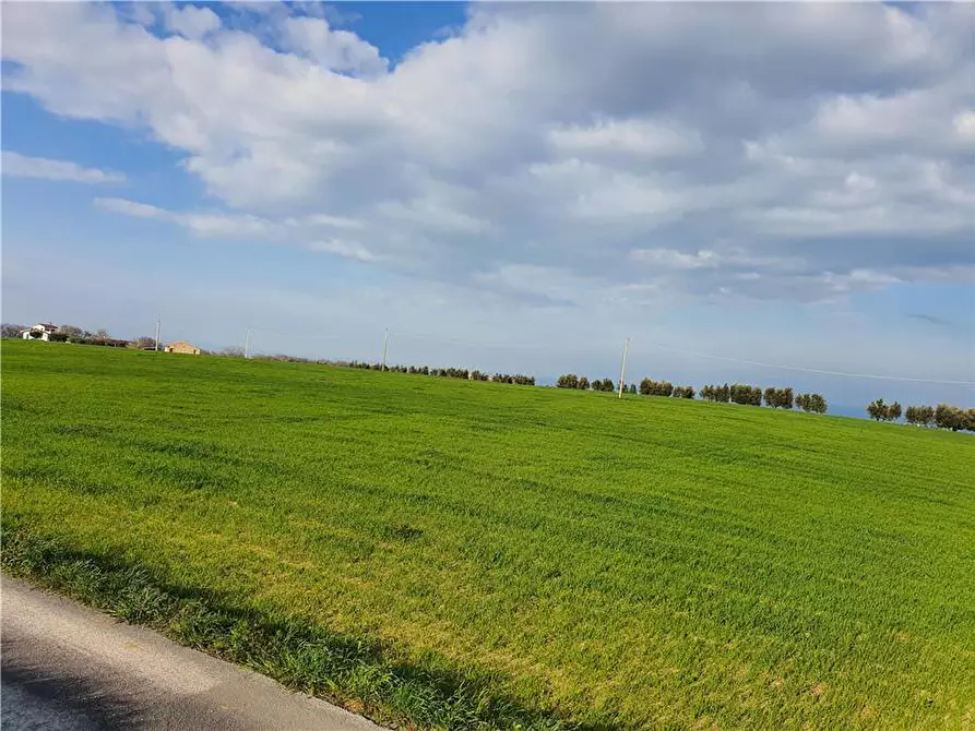Immagine 8 di Terreno in vendita  in Via monti di Monterubbiano a Lapedona