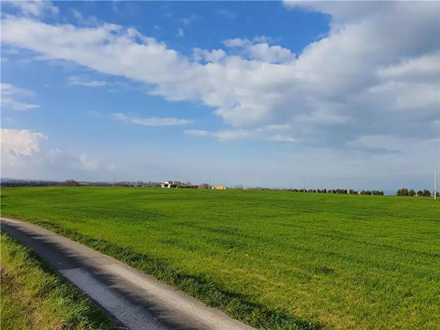 Immagine 9 di Terreno in vendita  in Via monti di Monterubbiano a Lapedona