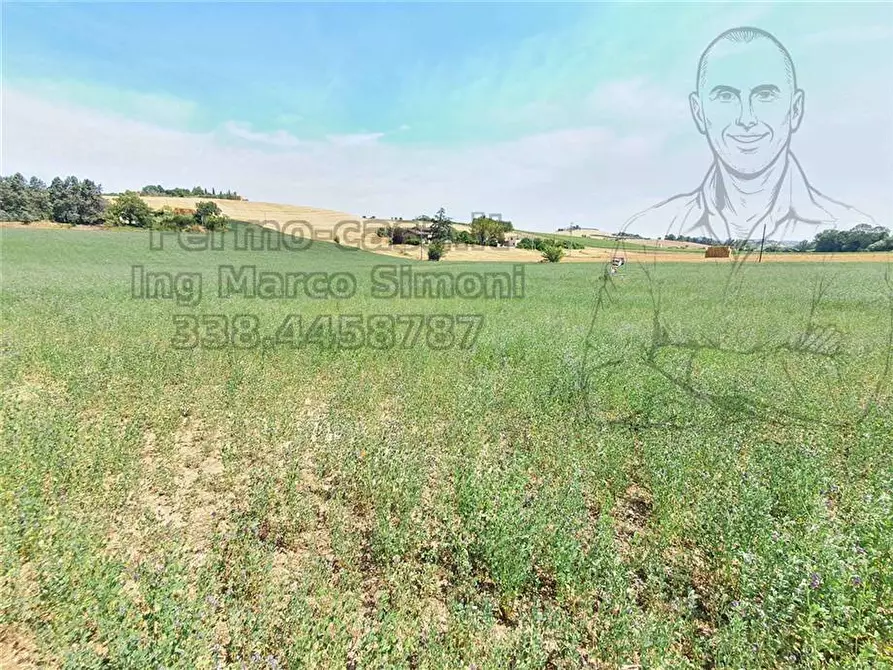 Immagine 19 di Rustico / casale in vendita  in Via Contrada Capparuccia, 3 a Ponzano Di Fermo