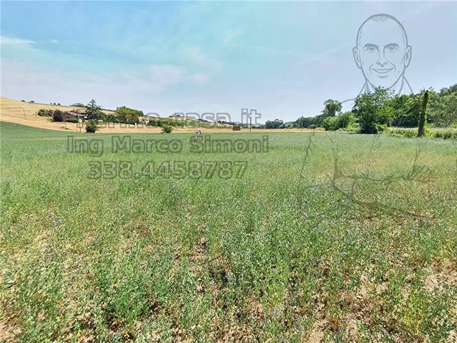 Immagine 20 di Rustico / casale in vendita  in Via Contrada Capparuccia, 3 a Ponzano Di Fermo