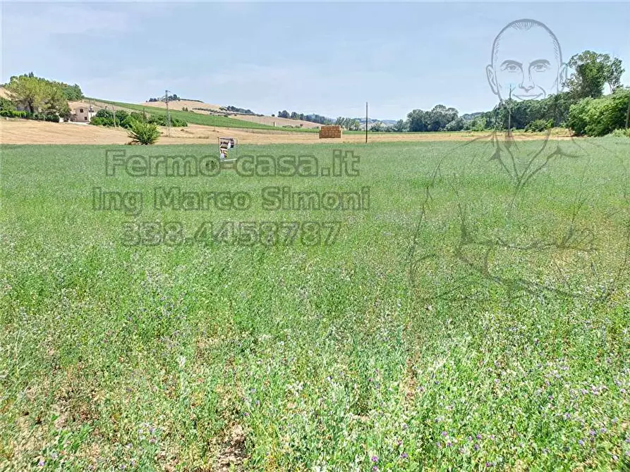 Immagine 21 di Rustico / casale in vendita  in Via Contrada Capparuccia, 3 a Ponzano Di Fermo