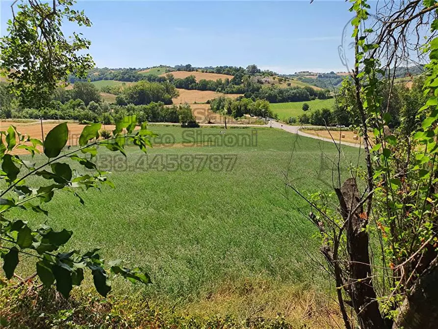 Immagine 22 di Rustico / casale in vendita  in Via Contrada Capparuccia, 3 a Ponzano Di Fermo