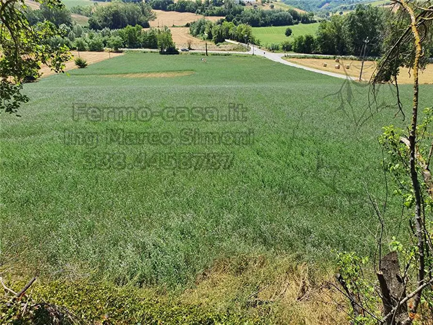 Immagine 23 di Rustico / casale in vendita  in Via Contrada Capparuccia, 3 a Ponzano Di Fermo