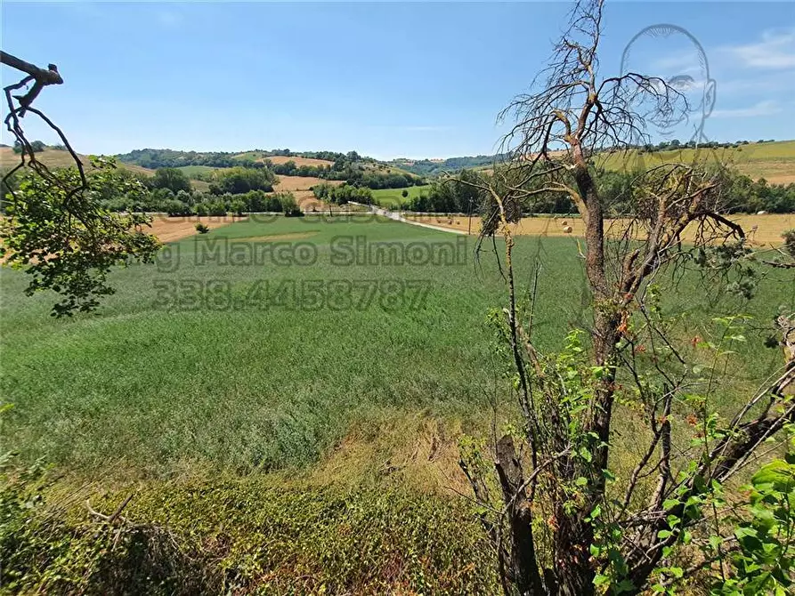 Immagine 24 di Rustico / casale in vendita  in Via Contrada Capparuccia, 3 a Ponzano Di Fermo