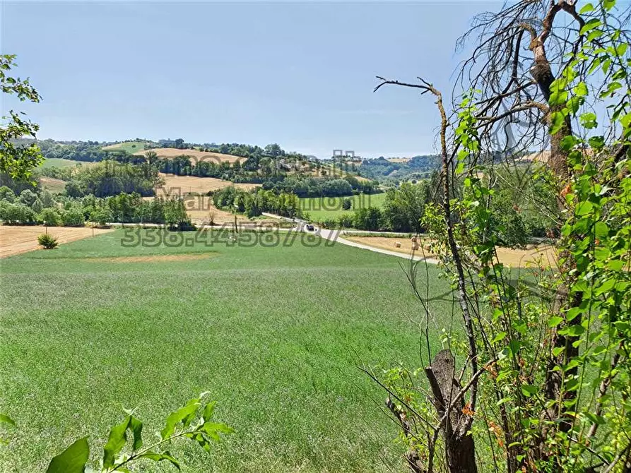 Immagine 3 di Rustico / casale in vendita  in Via Contrada Capparuccia, 3 a Ponzano Di Fermo