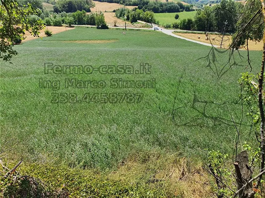 Immagine 4 di Rustico / casale in vendita  in Via Contrada Capparuccia, 3 a Ponzano Di Fermo