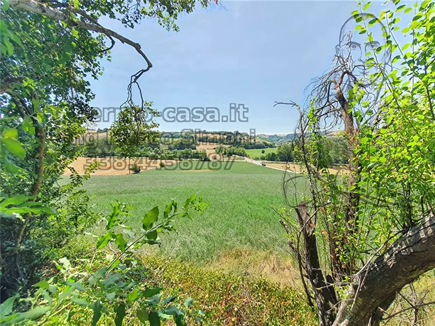 Immagine 5 di Rustico / casale in vendita  in Via Contrada Capparuccia, 3 a Ponzano Di Fermo