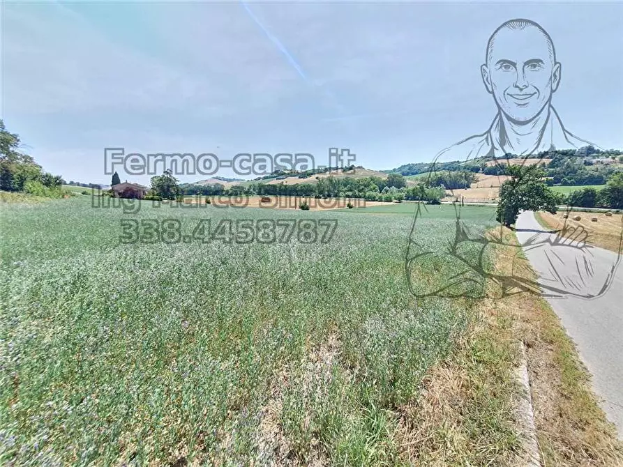 Immagine 7 di Rustico / casale in vendita  in Via Contrada Capparuccia, 3 a Ponzano Di Fermo