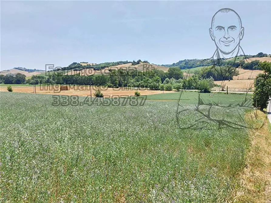 Immagine 8 di Rustico / casale in vendita  in Via Contrada Capparuccia, 3 a Ponzano Di Fermo