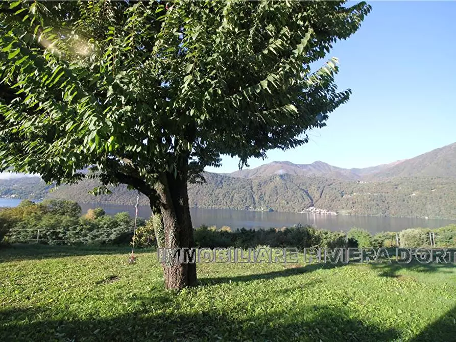 Immagine 5 di Appartamento in affitto  a Pettenasco