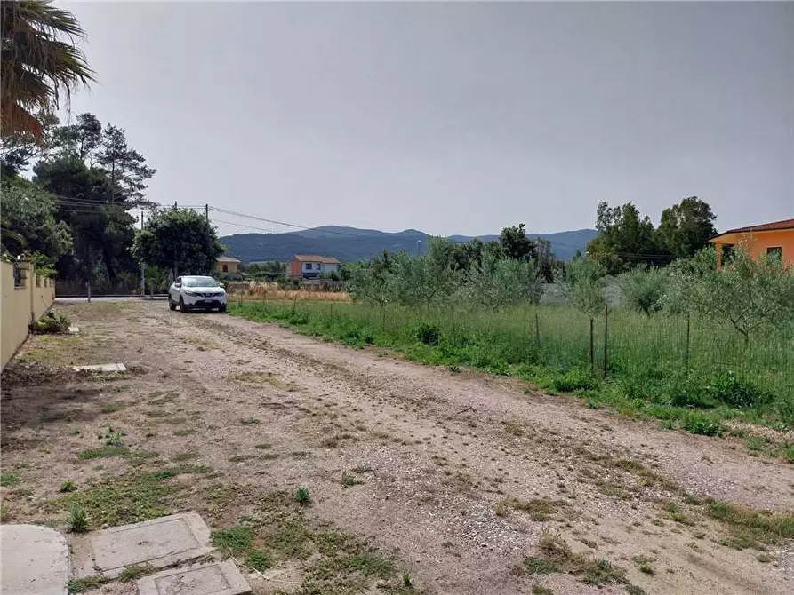 Immagine 2 di Terreno in vendita  a Palmas Arborea