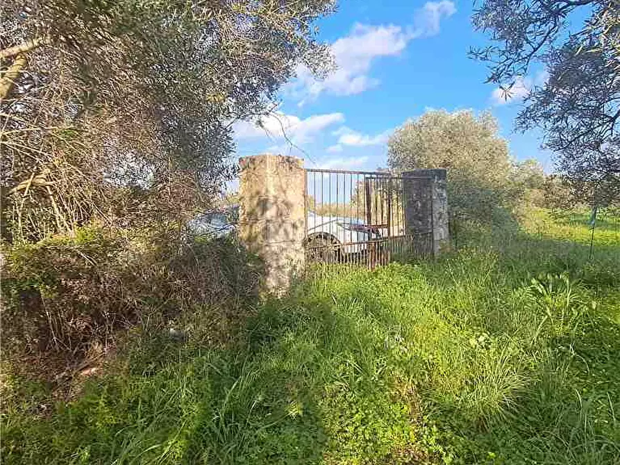 casa semindipendente in vendita a Narbolia