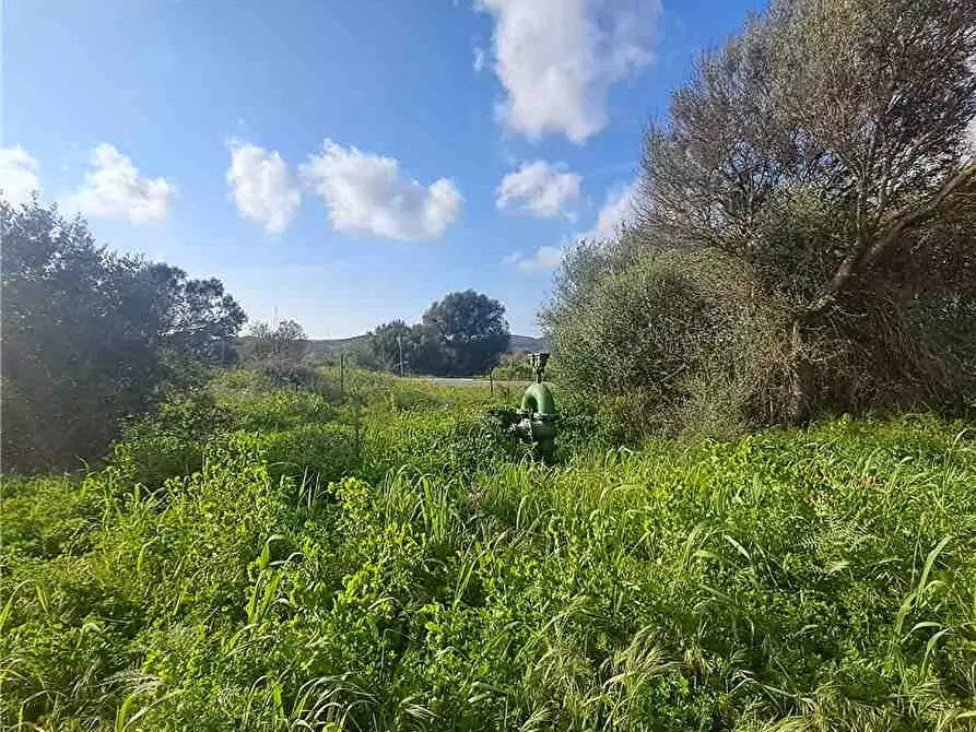 Immagine 3 di Deposito in vendita  a Narbolia