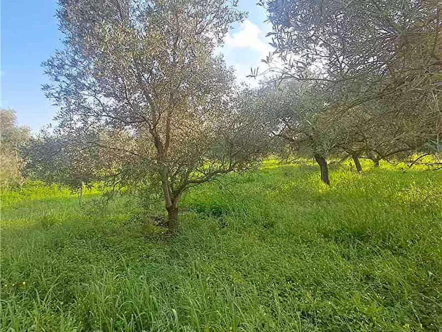 Immagine 5 di Deposito in vendita  a Narbolia