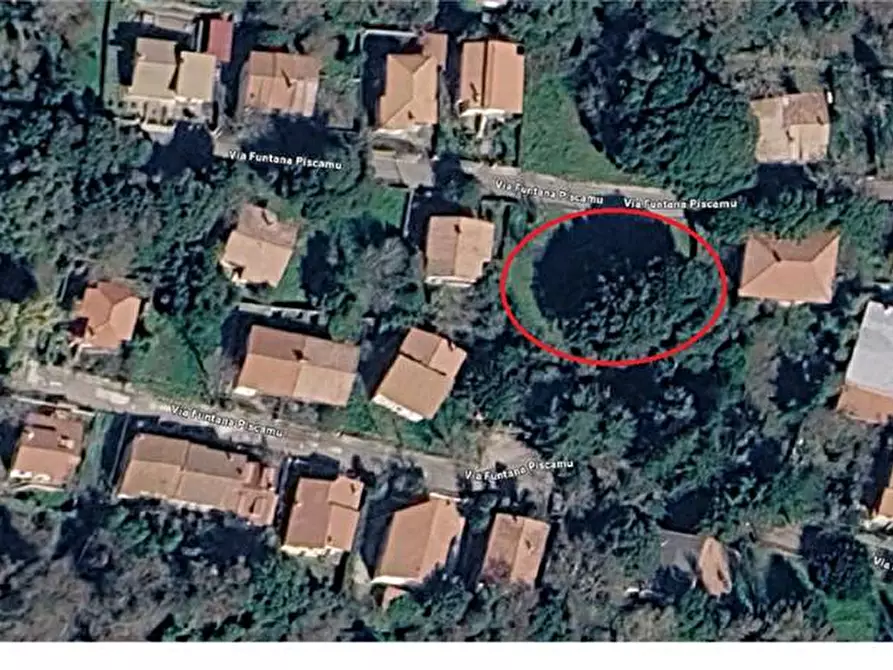 Immagine 1 di Terreno in vendita  a Santu Lussurgiu