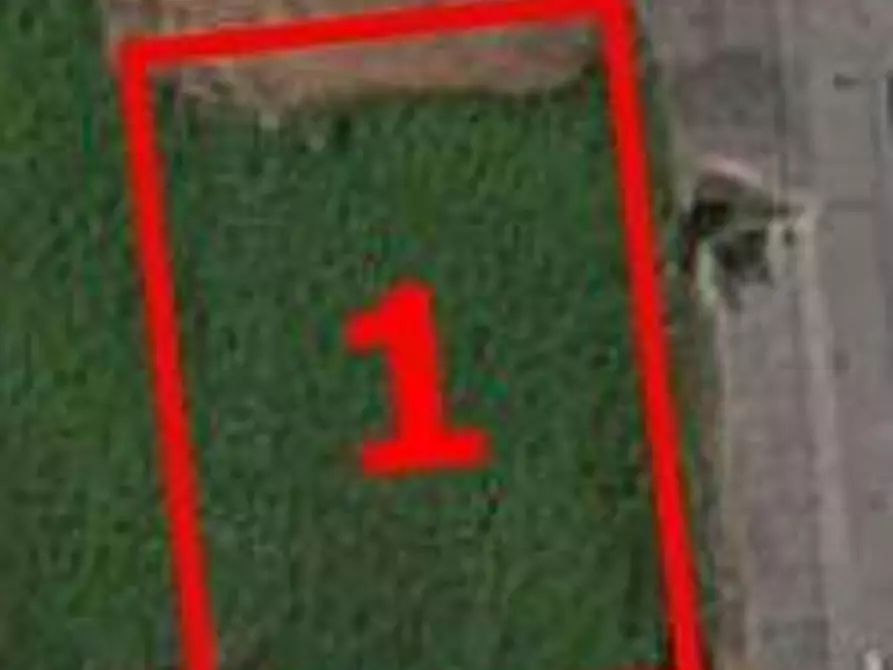 Immagine 3 di Terreno in vendita  a Camposanto