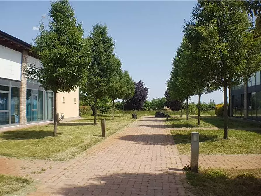 Immagine 4 di Rustico / casale in vendita  a San Prospero