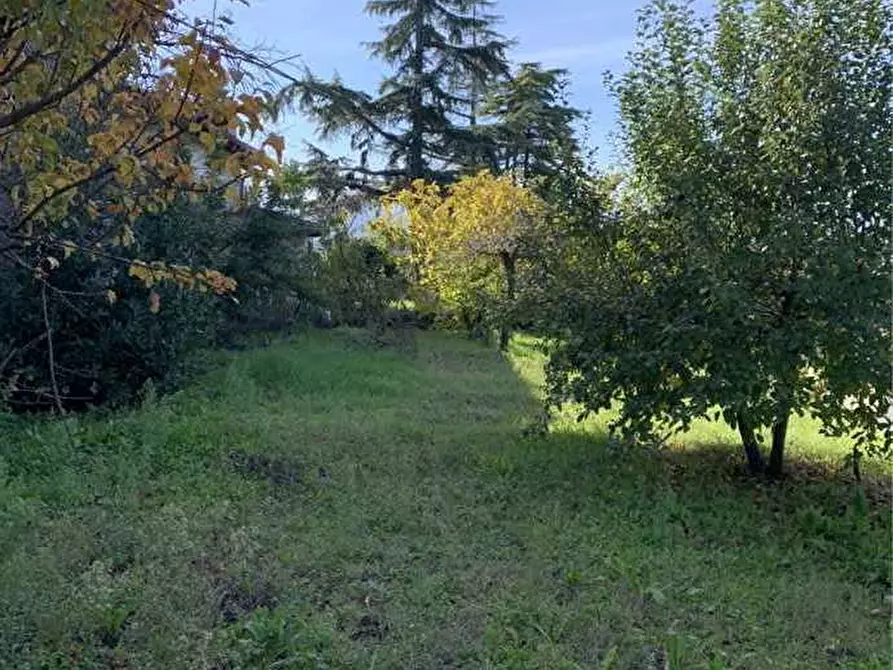 Immagine 5 di Villa in vendita  a Castana