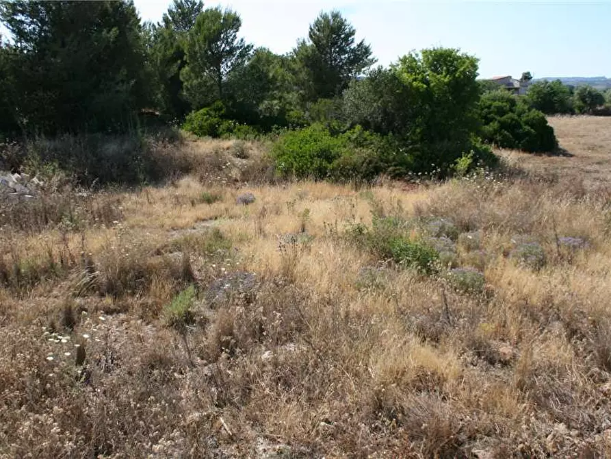 Immagine 9 di Villa in vendita  in Via san michele Arcangelo, sn a Noto