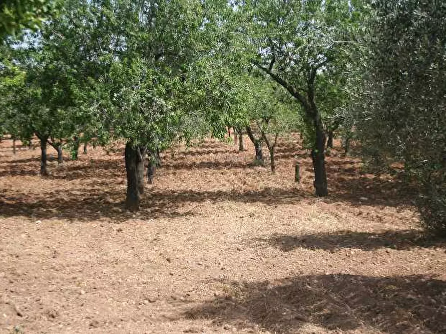 Immagine 2 di Rustico / casale in vendita  in Via CDA VOLPIGLIA, SN a Noto