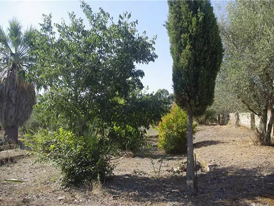 Immagine 5 di Terreno in vendita  in Loc. C/DA SARAMICO a Melilli