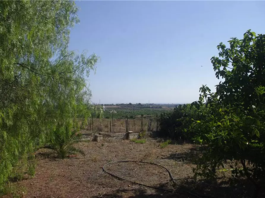Immagine 8 di Terreno in vendita  in Loc. C/DA SARAMICO a Melilli