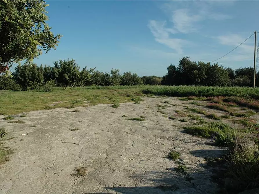 Immagine 12 di Rustico / casale in vendita  in Via C.DA TERRINAZZO STRADA FA a Noto