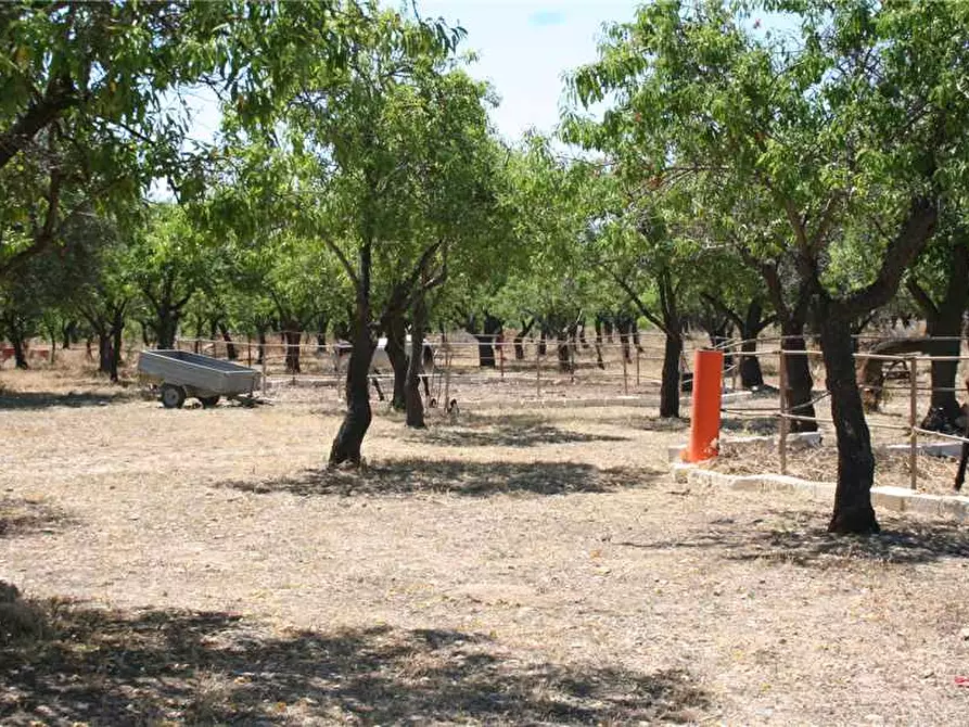 Immagine 9 di Attività commerciale in vendita  in Via C/DA ZISOLA, SN a Noto