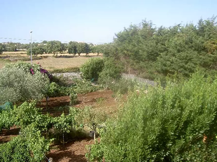 Immagine 5 di Villa in vendita  in Via SAN GIULIANO SANT ELENA a Modica