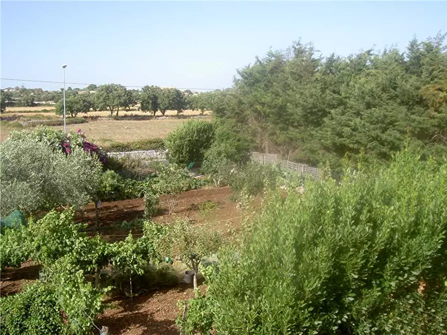 Immagine 9 di Villa in vendita  in Via SAN GIULIANO SANT ELENA a Modica
