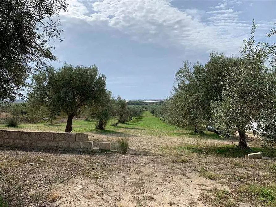 Immagine 5 di Terreno in vendita  in Via CDA BARONI a Noto
