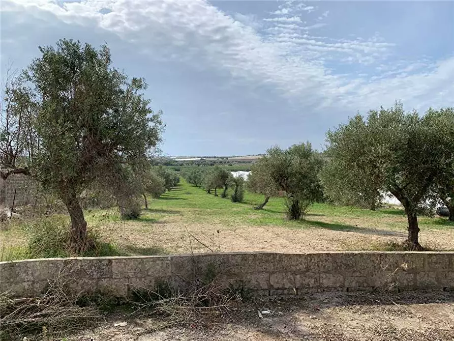 Immagine 7 di Terreno in vendita  in Via CDA BARONI a Noto