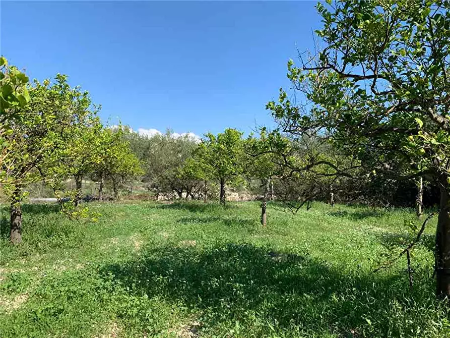 Immagine 4 di Terreno in vendita  in Loc. CDA CAPPELLO a Noto