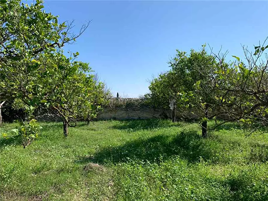 Immagine 5 di Terreno in vendita  in Loc. CDA CAPPELLO a Noto