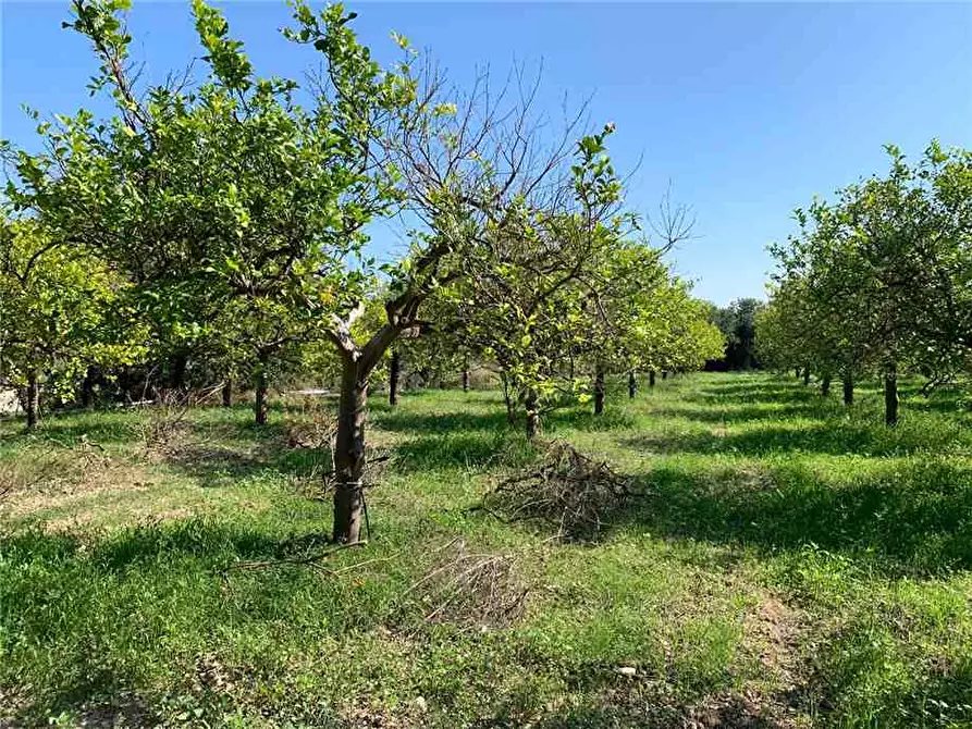Immagine 6 di Terreno in vendita  in Loc. CDA CAPPELLO a Noto