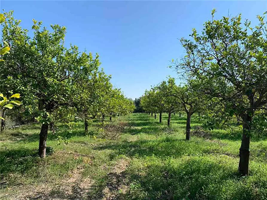 Immagine 7 di Terreno in vendita  in Loc. CDA CAPPELLO a Noto
