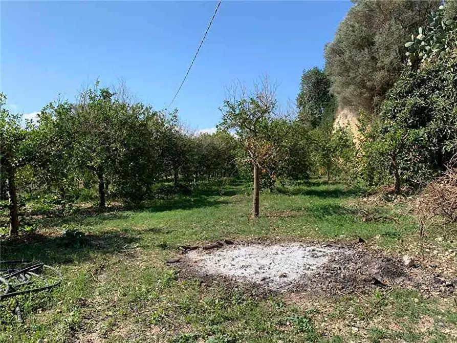 Immagine 8 di Terreno in vendita  in Loc. CDA CAPPELLO a Noto