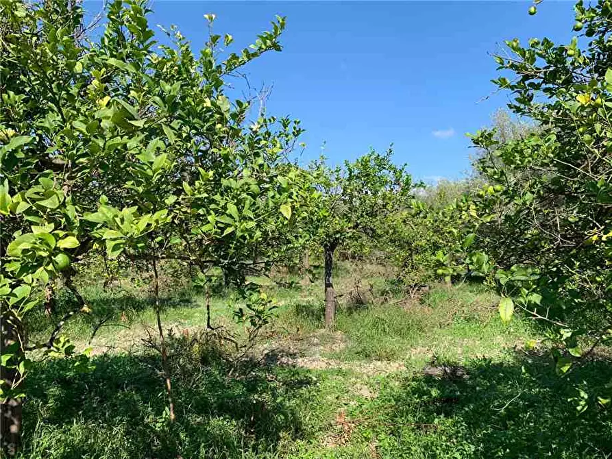 Immagine 9 di Terreno in vendita  in Loc. CDA CAPPELLO a Noto