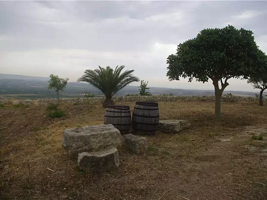 Immagine 13 di Villa in vendita  in Loc. CDA BELLISCALA a Noto