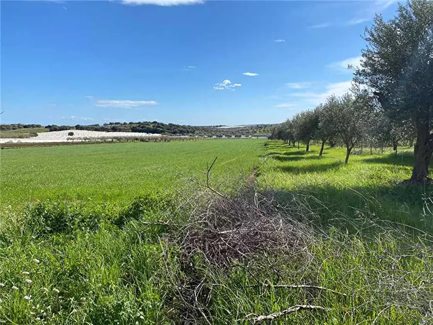 Immagine 13 di Terreno in vendita  in Loc. CDA BENUINI, SN a Noto