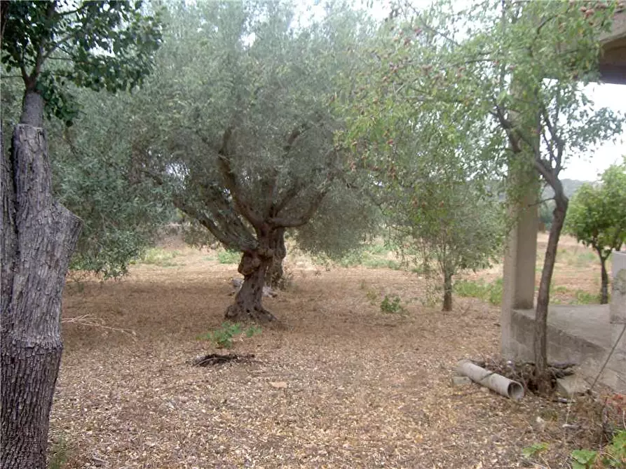 Immagine 6 di Terreno in vendita  in Loc. CDA BENUINI, SN a Noto