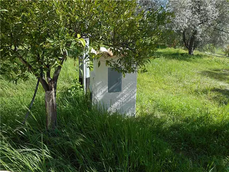 Immagine 3 di Terreno in vendita  in Via CDA PORTELLI, SN a Noto