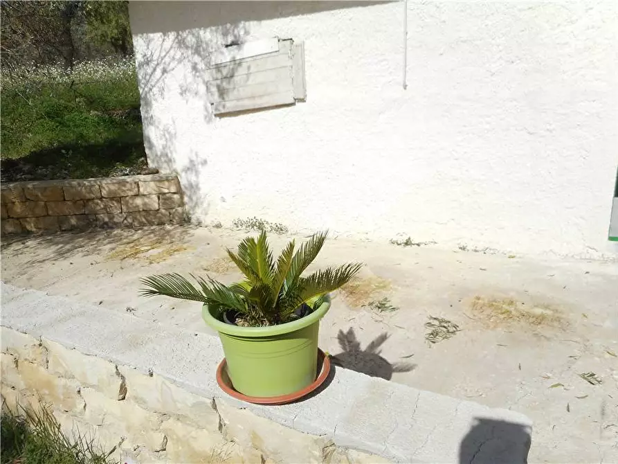 Immagine 5 di Terreno in vendita  in Via CDA PORTELLI, SN a Noto